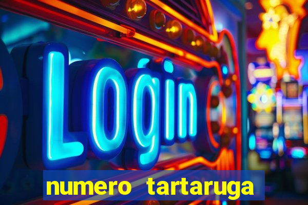 numero tartaruga jogo do bicho
